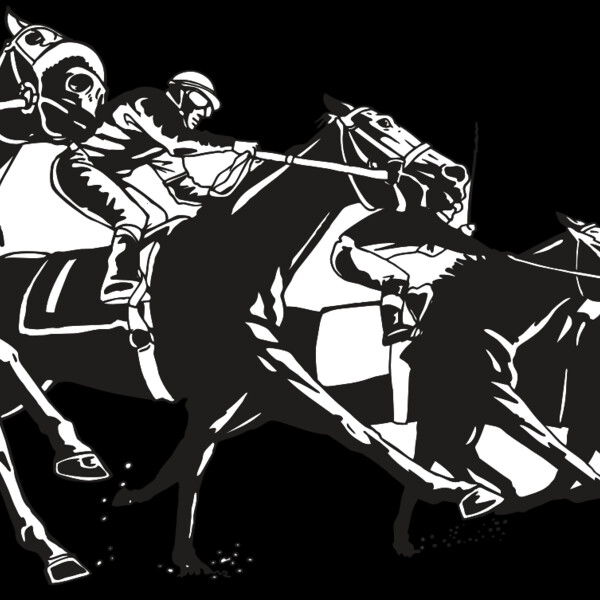 AR EQUEST 13 RC Thumbnail