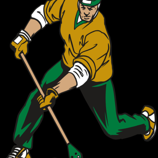 AR20 BROOMBALL 12 RQC Thumbnail