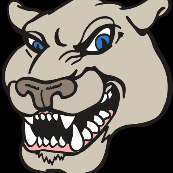 AR5 COUGAR 10 RQC Thumbnail