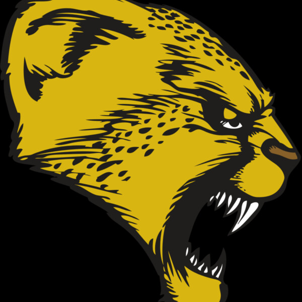 BAW CHEETAH 13 RC Thumbnail