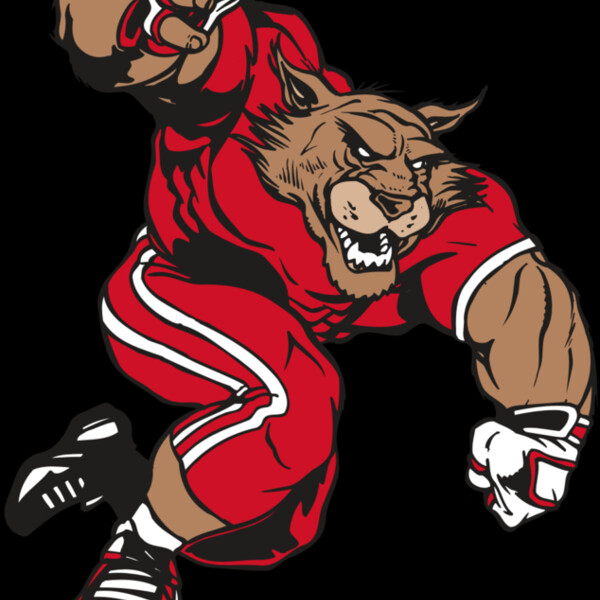 AR WILDCAT 32 RC Thumbnail