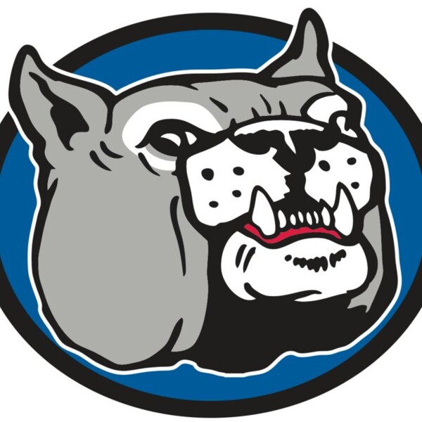 AR BDOG 51 RC Thumbnail