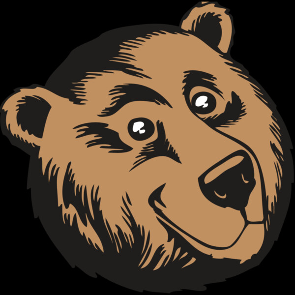 BAW BEAR 11 RC Thumbnail