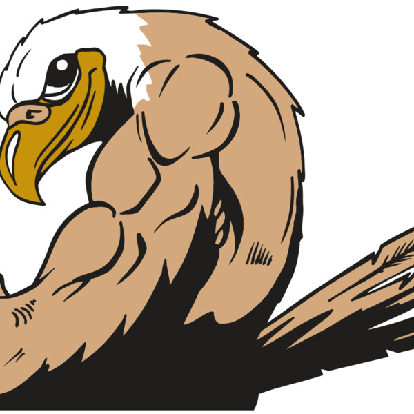 AR EAGLE 85 RC Thumbnail