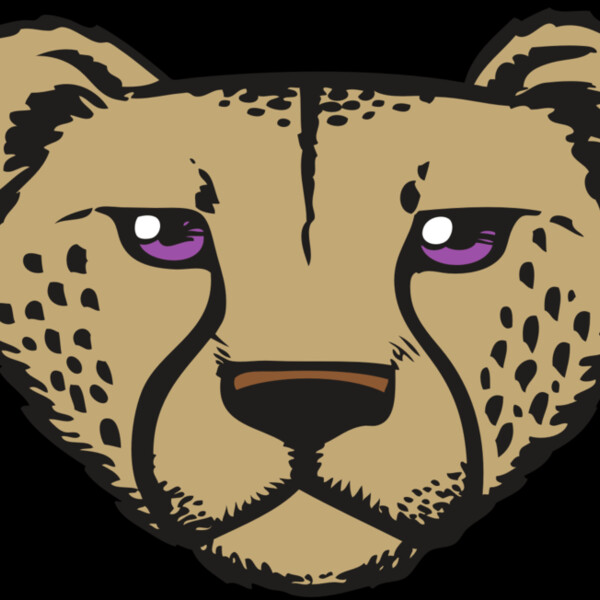 BAW CHEETAH 14 RC Thumbnail