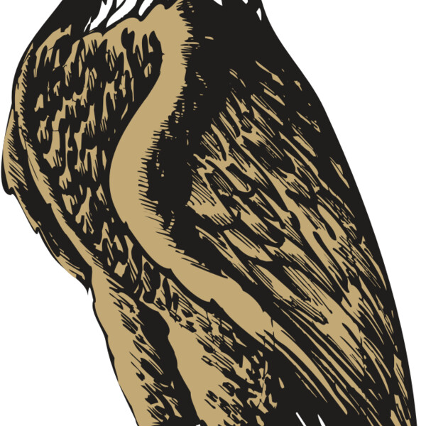 BAW EAG 02 RC Thumbnail