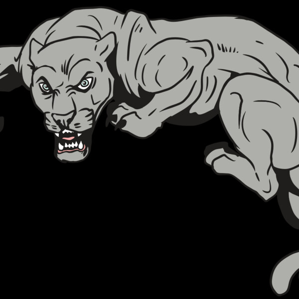 AR10 PANTHER 02 RQC Thumbnail