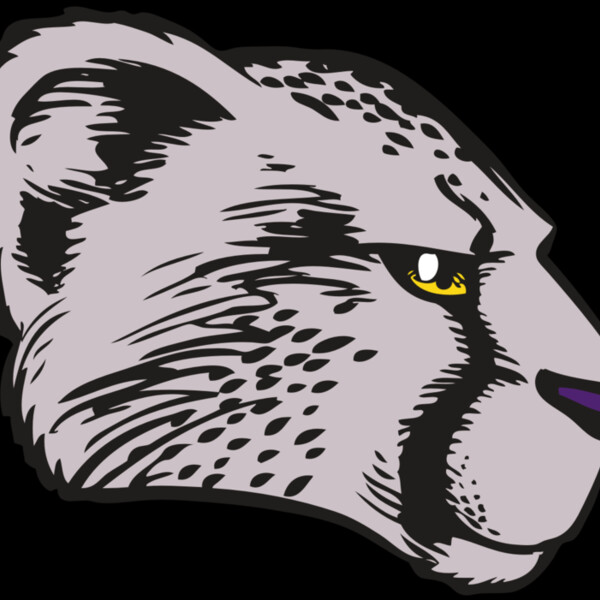 BAW CHEETAH 20 RC Thumbnail