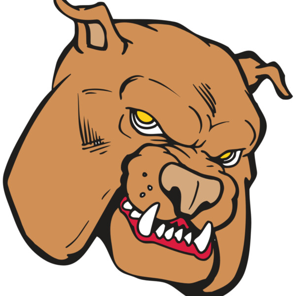 AR BDOG 41 RC Thumbnail