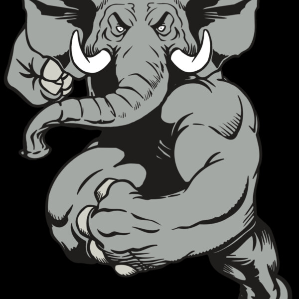 AR ELEPH 18 RC Thumbnail