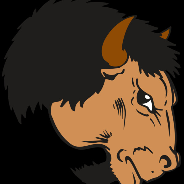 AR BUFFALO 16 RC Thumbnail