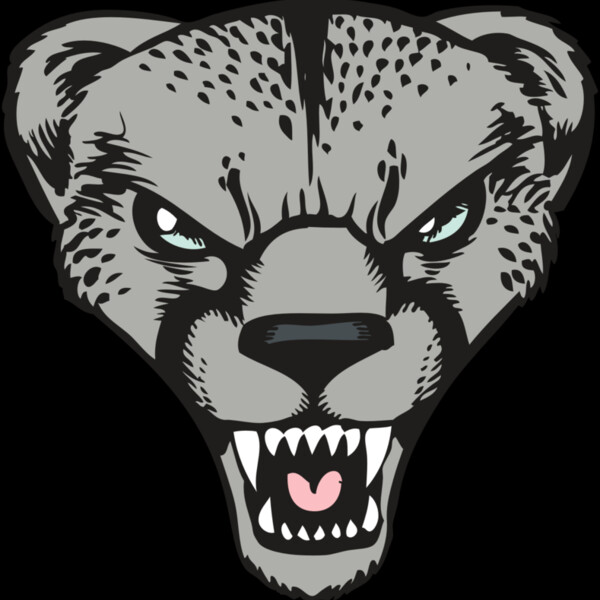 BAW CHEETAH 15 RC Thumbnail