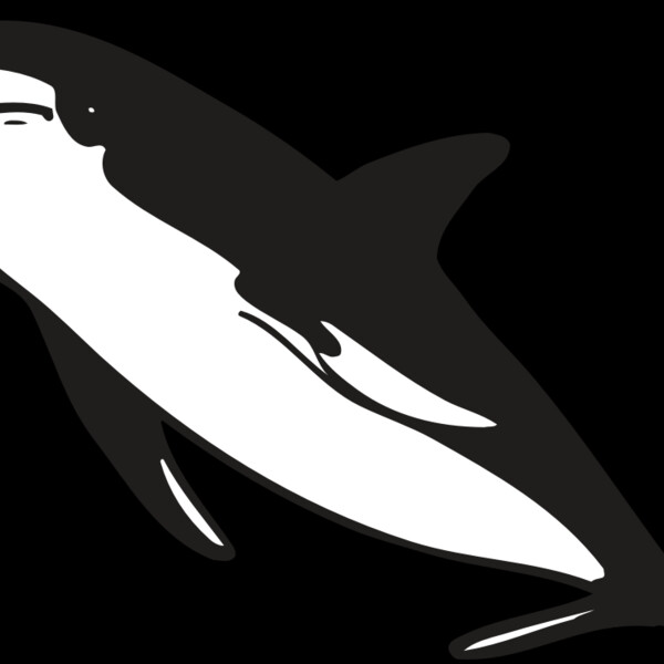 AR DOLPIN 13 RC Thumbnail