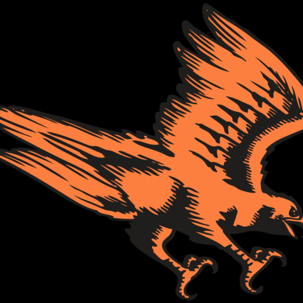 BAW HWK FLCN 04 RC Thumbnail