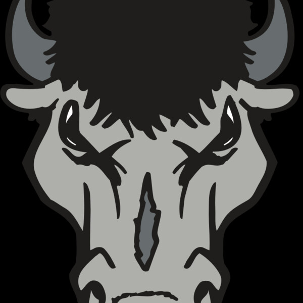 AR BUFFALO 15 RC Thumbnail