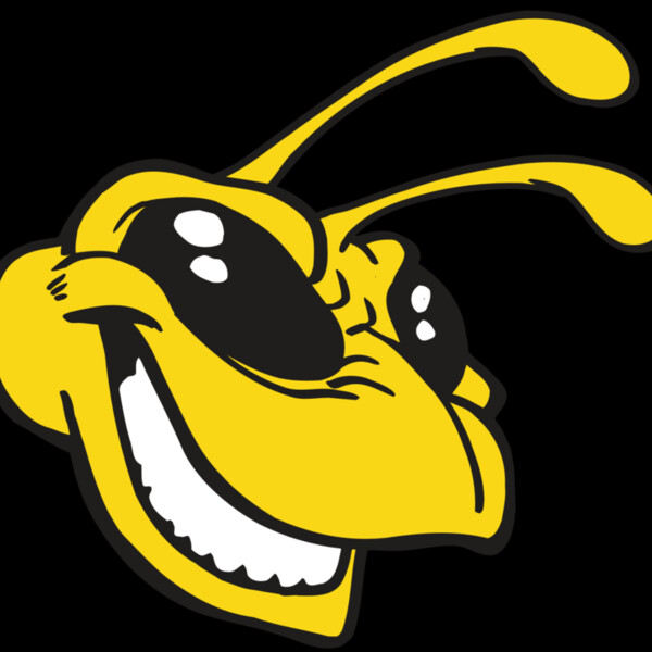 AR5 BEE 24 RQC Thumbnail