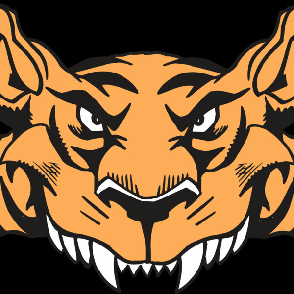 AR5 Tiger 07 RQC Thumbnail