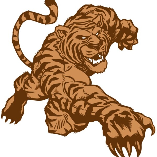 AR TIGER 56 RC Thumbnail