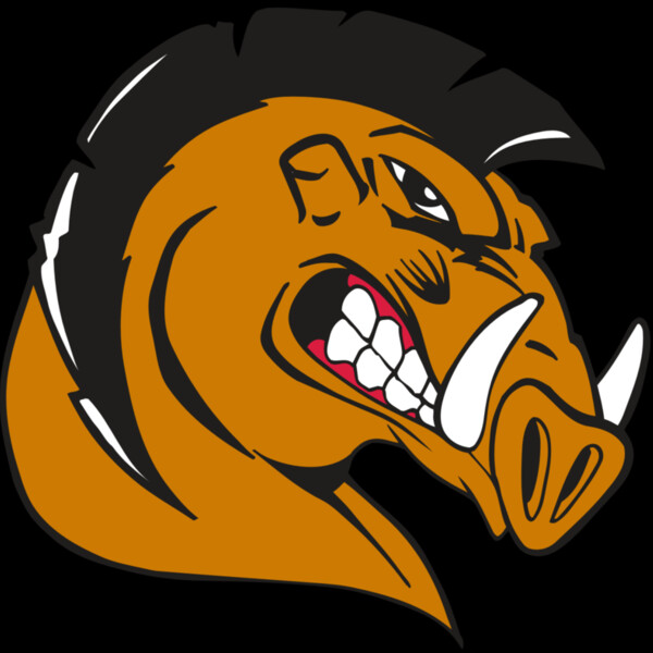 AR RAZORBACK 19 RC Thumbnail