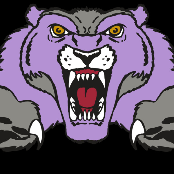 AR WOLVERINE 17 RC Thumbnail