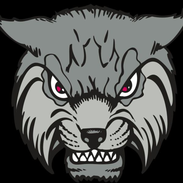 BAW BOBCAT 02 RC Thumbnail