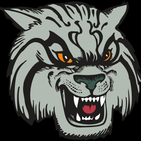 BAW WILDCAT 03 RC Thumbnail