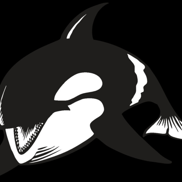 BAW KLRWHALE 04 RC Thumbnail