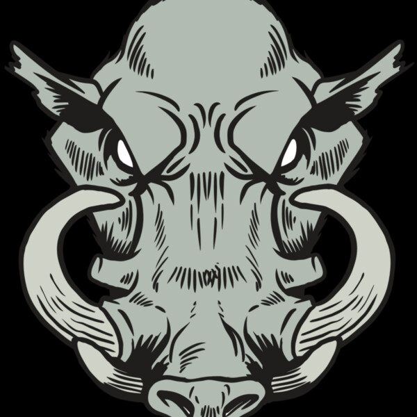 AR20 RAZORBACK 38 RQC Thumbnail