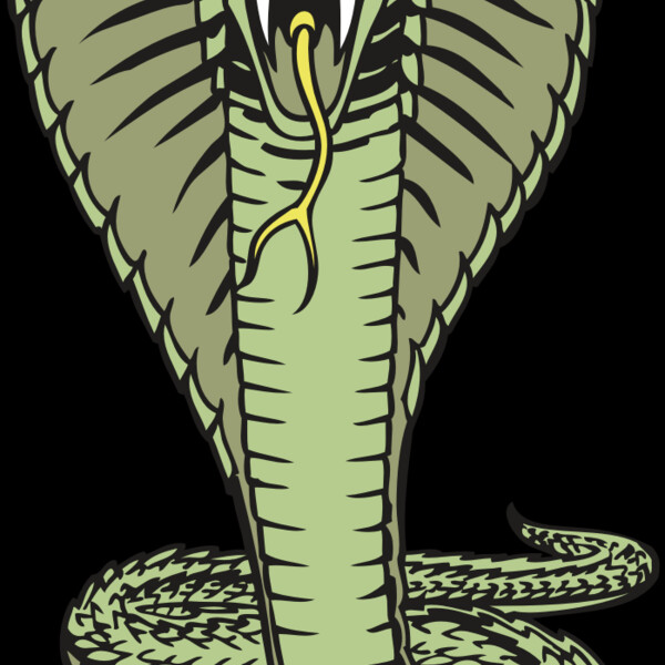 BAW SNAKE 15 RC Thumbnail