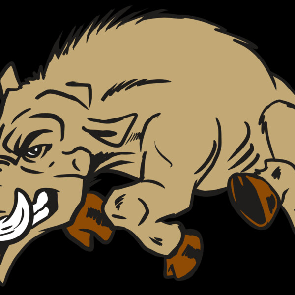 AR20 RAZORBACK 37 RQC Thumbnail